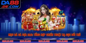 Mẹo Đá Gà Cựa Dao: Tổng Hợp Chiến Thuật Hạ Gục Đối Thủ